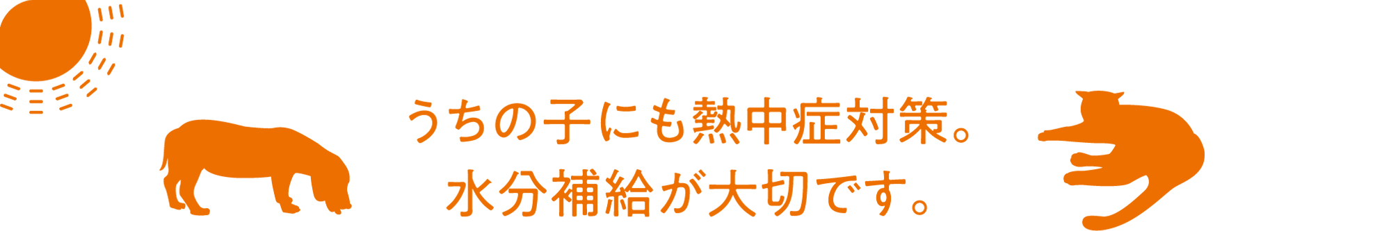 うちの子にも熱中症対策。水分補給が大切です。